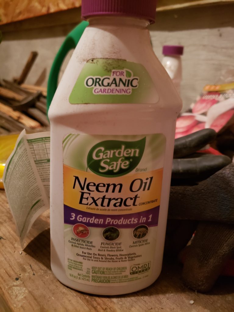 Neem Oil