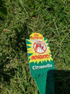 Citromella