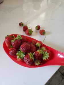 Strawberries