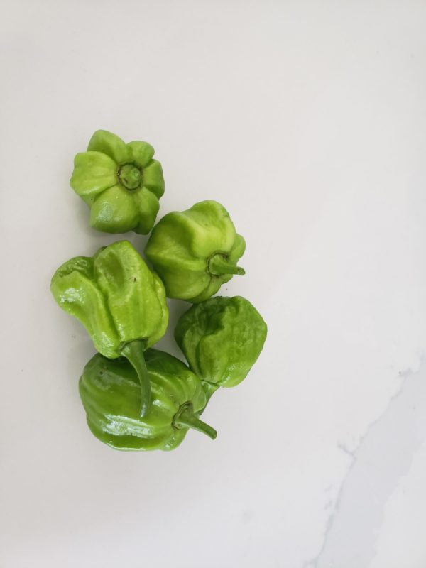 Scotch bonnet